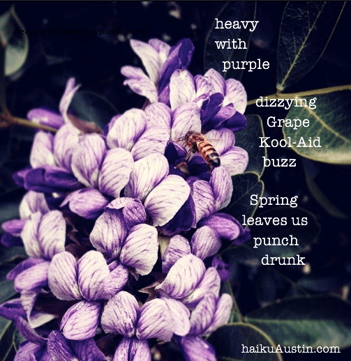 GrapeKoolAid haiku for IG